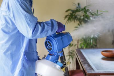 Fumigation Service in San Antonio, TX