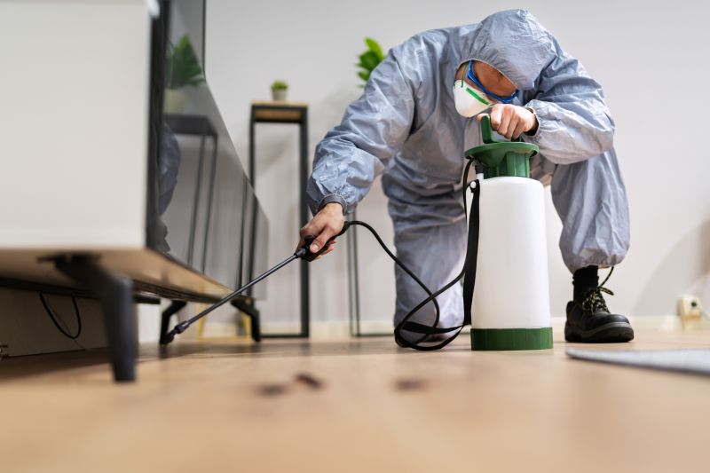 Rat Fumigation Service in San Antonio, TX
